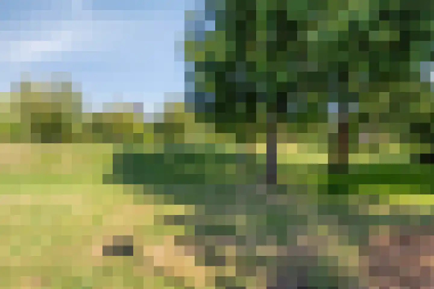 Jan Hoornstraat 20 Zoetermeer thumbnail 33