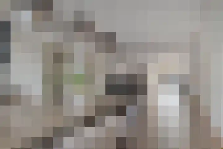 Jan Hoornstraat 72 Zoetermeer thumbnail 13