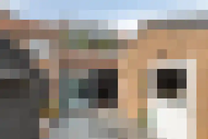 Jan Hoornstraat 72 Zoetermeer thumbnail 24