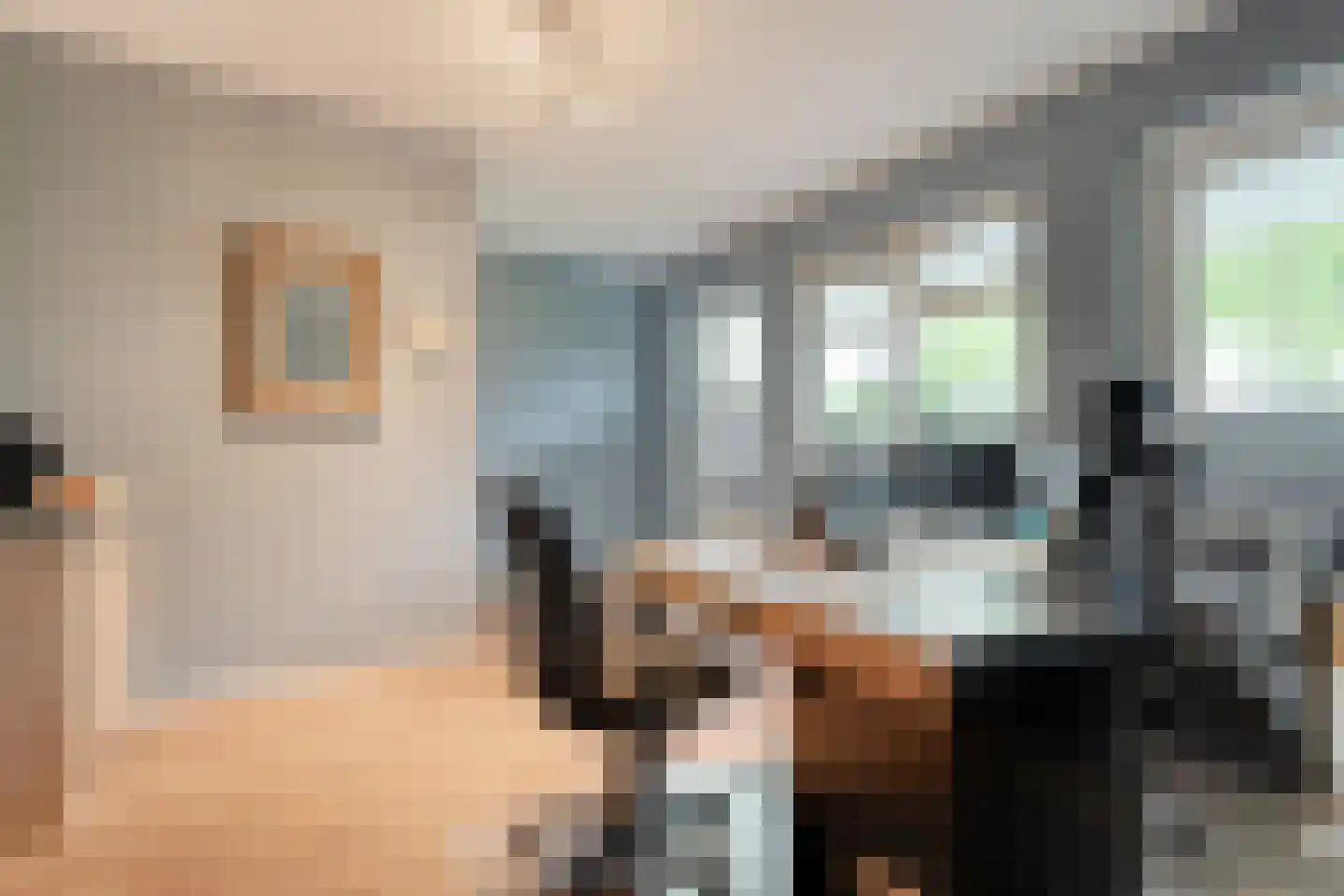 Jan Houtmanstraat 10 Ommen thumbnail 25