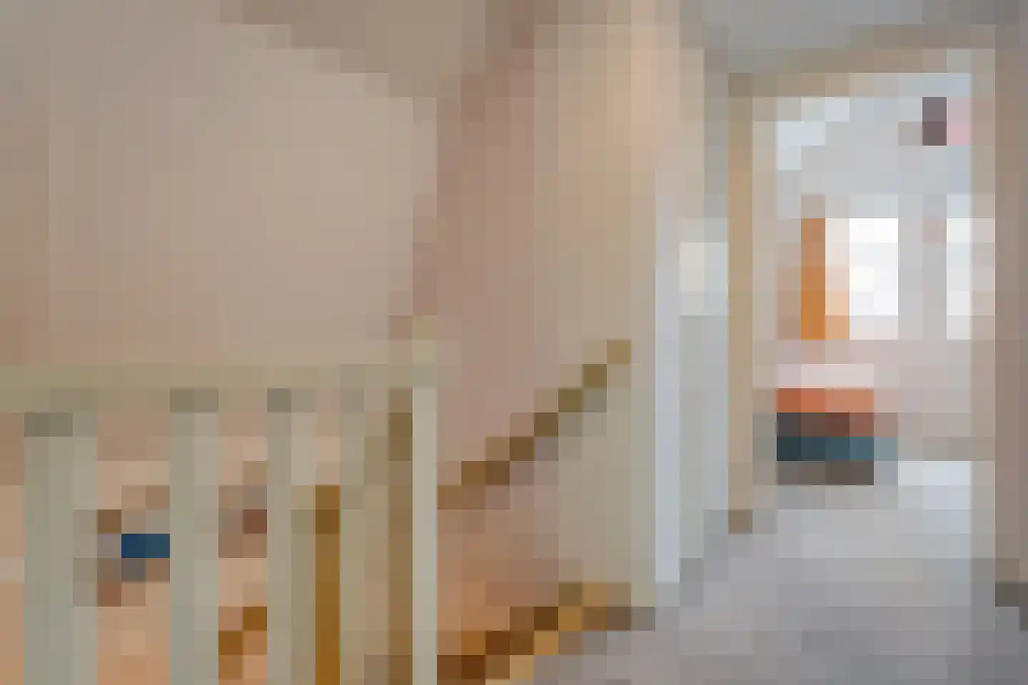 Jan Houtmanstraat 10 Ommen thumbnail 29
