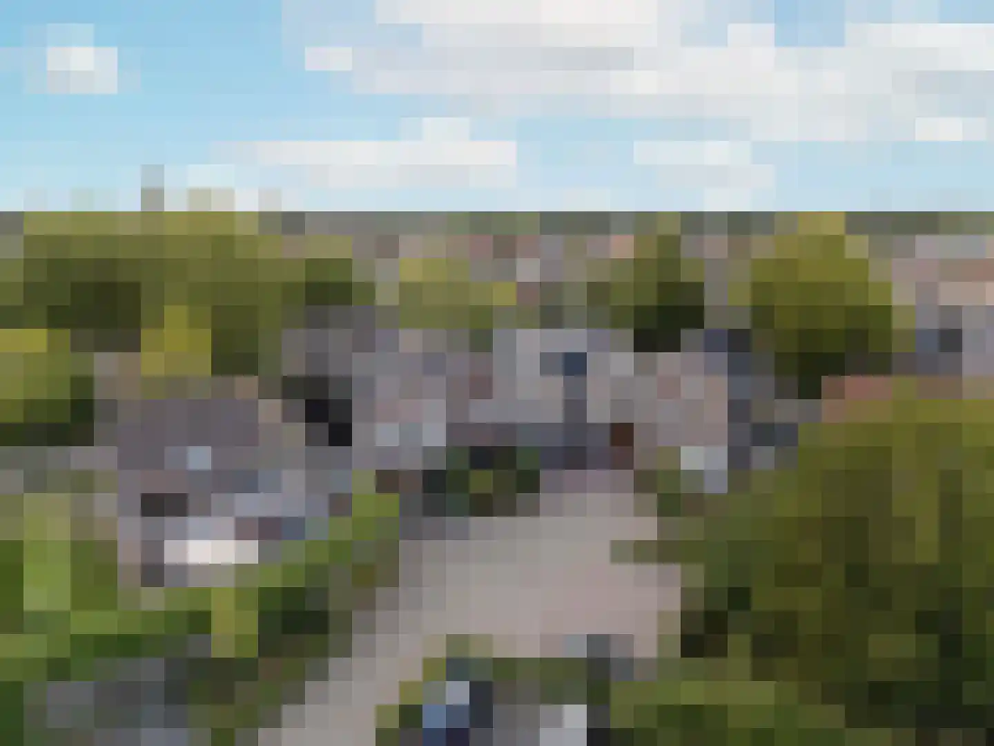 Jan Houtmanstraat 10 Ommen thumbnail 4