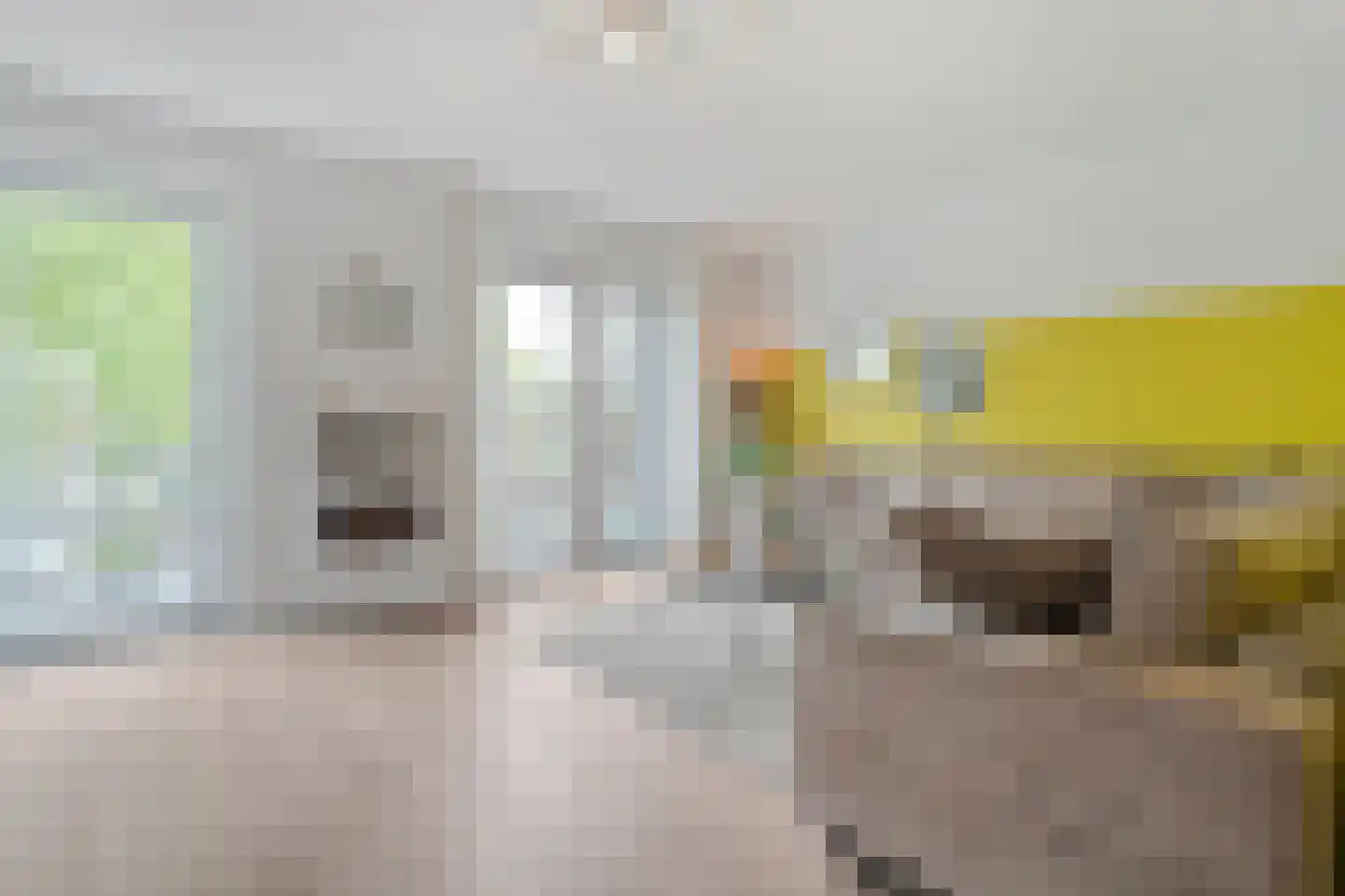Jan Houtmanstraat 10 Ommen thumbnail 7