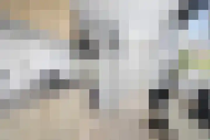 Jan in 't Veltstraat 126 Den Helder thumbnail 14