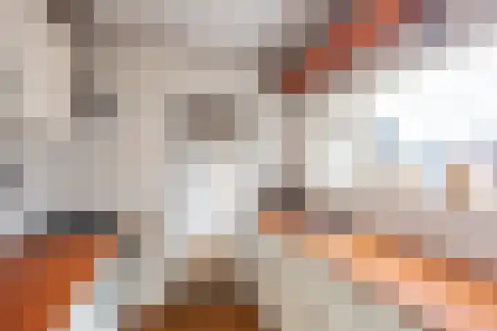 Jan in 't Veltstraat 26 Den Helder thumbnail 10