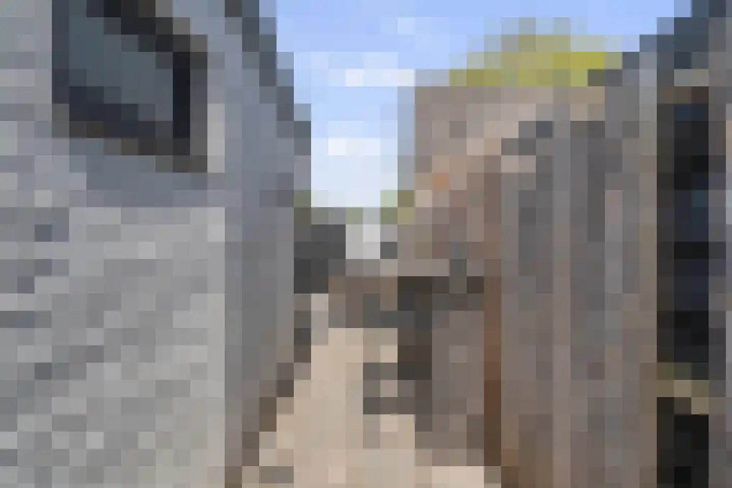 Jan in 't Veltstraat 35 Den Helder thumbnail 18