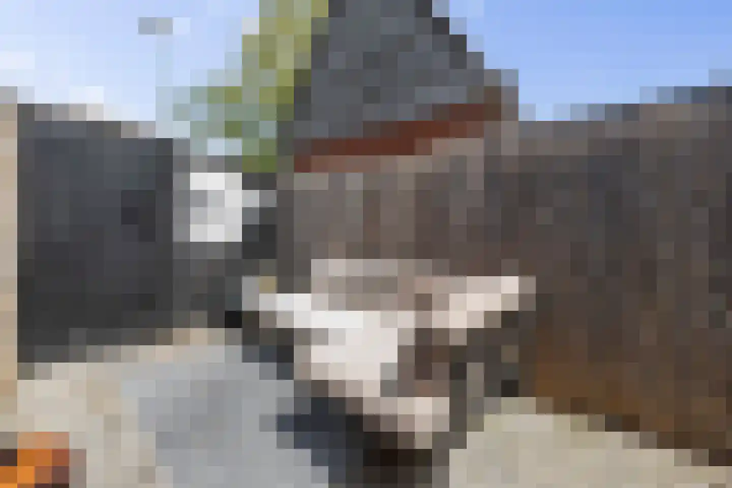 Jan in 't Veltstraat 35 Den Helder thumbnail 19