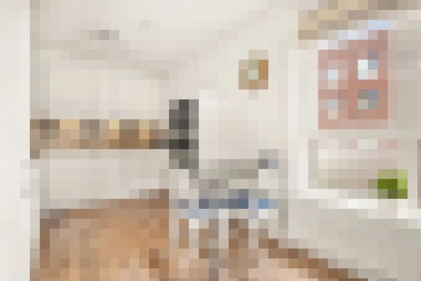 Jan Jacob Slauerhoffpad 23 Driehuis NH thumbnail 29