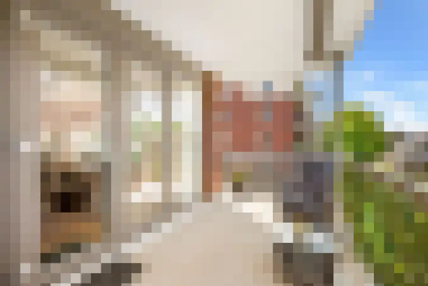 Jan Jacob Slauerhoffpad 23 Driehuis NH thumbnail 36