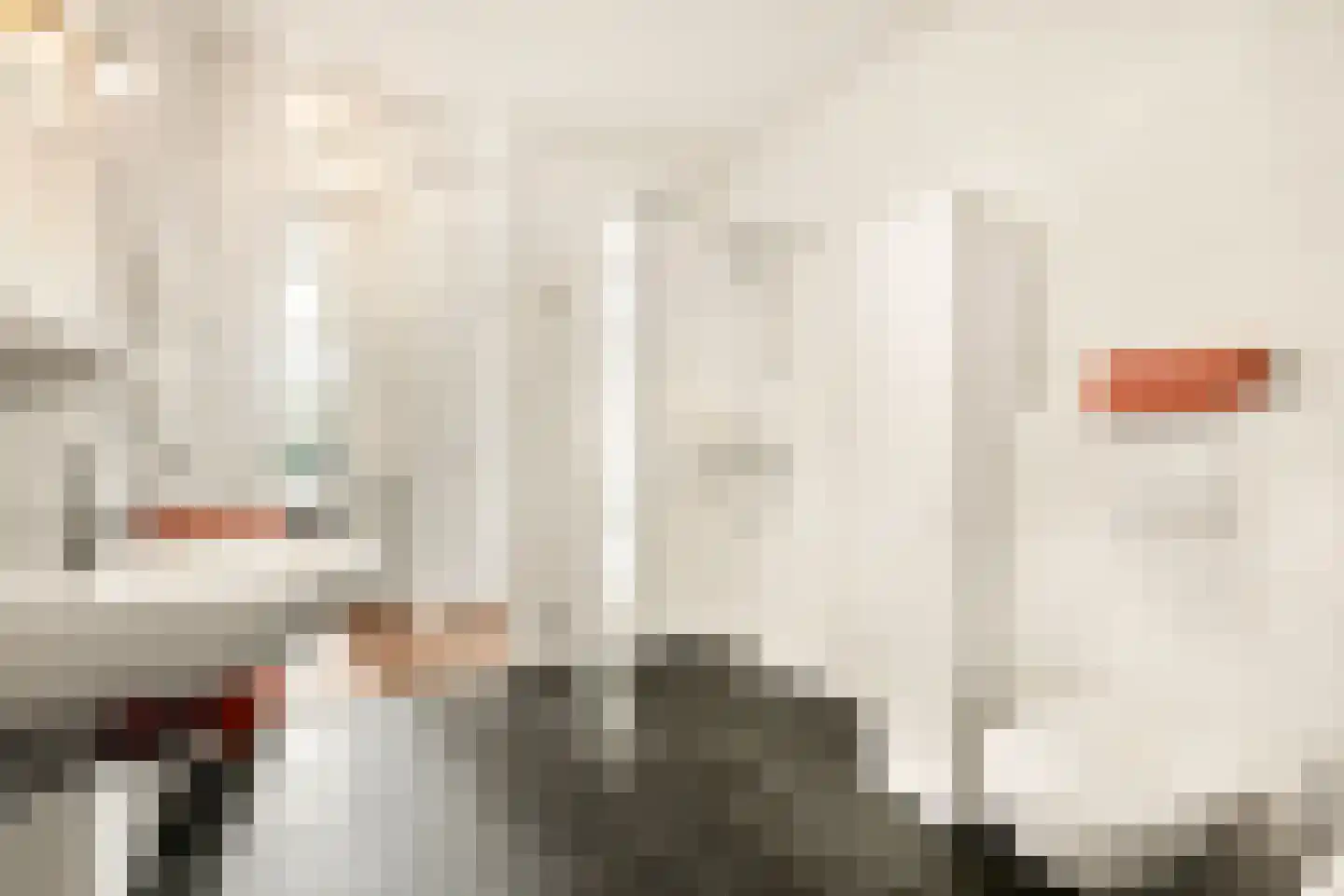 Jan Jacob Slauerhoffpad 23 Driehuis NH thumbnail 54