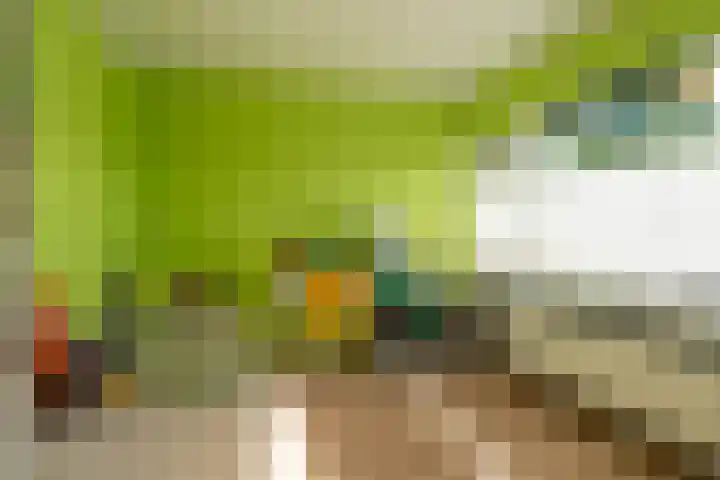 Jan Jannenstraat 8 Sprang-Capelle thumbnail 19