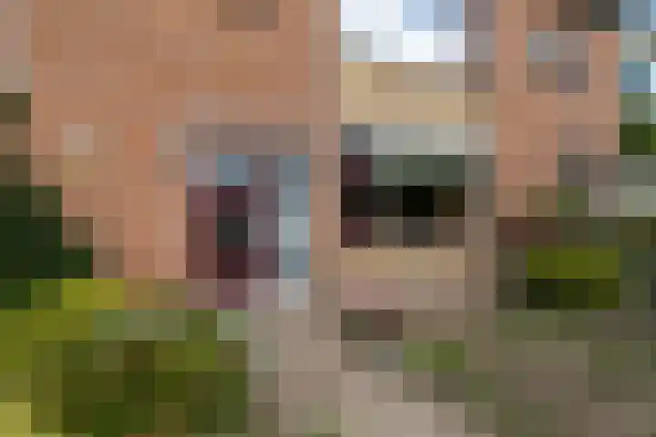 Jan Jannenstraat 8 Sprang-Capelle thumbnail 5