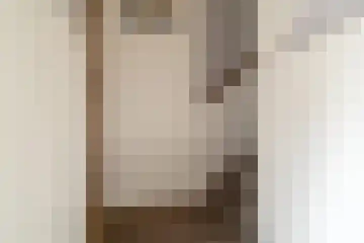 Jan Jannenstraat 8 Sprang-Capelle thumbnail 9
