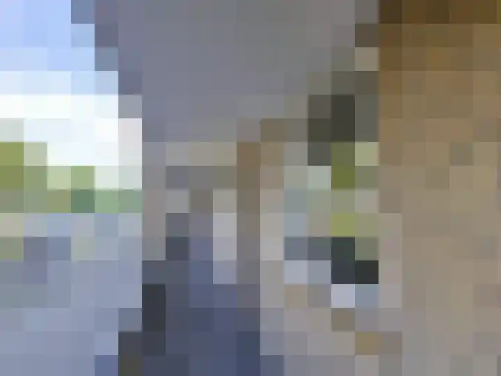 Jan Janslaan 10 Almelo thumbnail 20