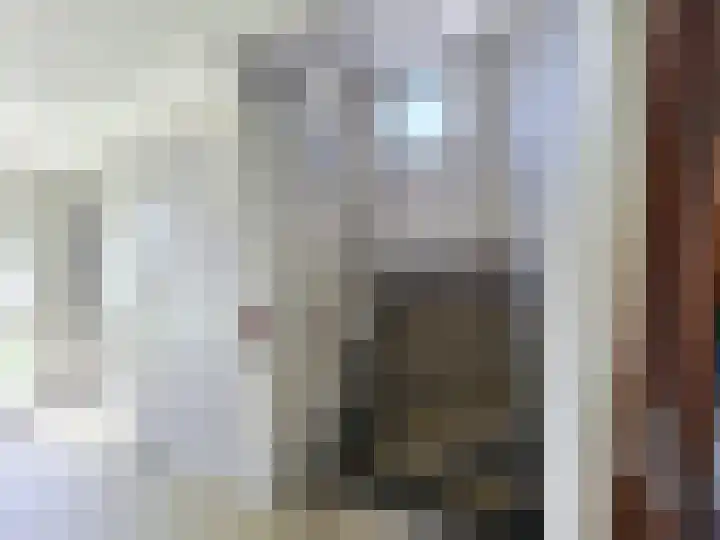 Jan Janslaan 10 Almelo thumbnail 28