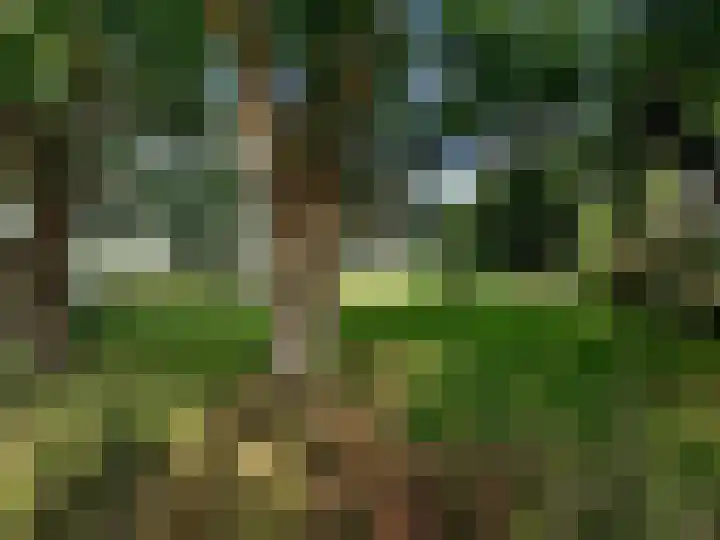 Jan Janslaan 10 Almelo thumbnail 34