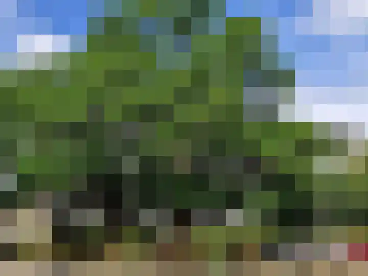 Jan Janslaan 10 Almelo thumbnail 35