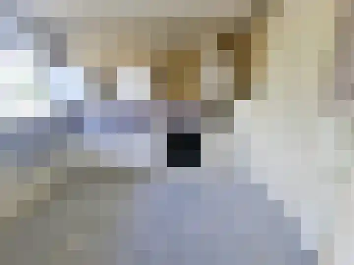 Jan Janslaan 10 Almelo thumbnail 5