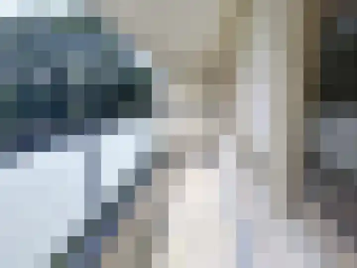 Jan Janslaan 10 Almelo thumbnail 7