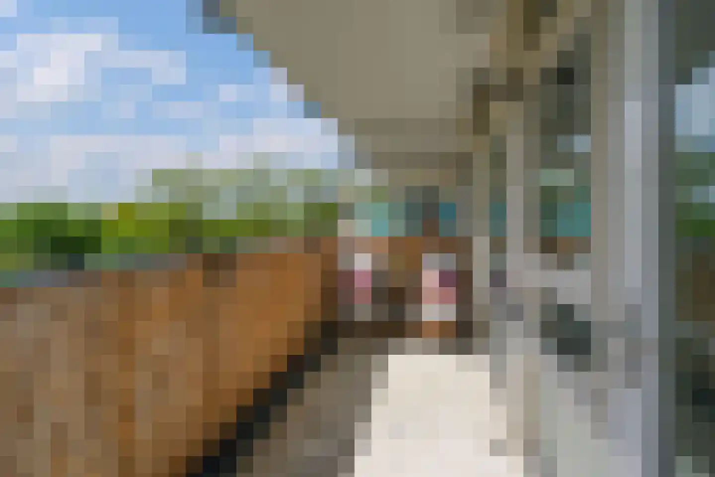 Jan Janslaan 38 Almelo thumbnail 8
