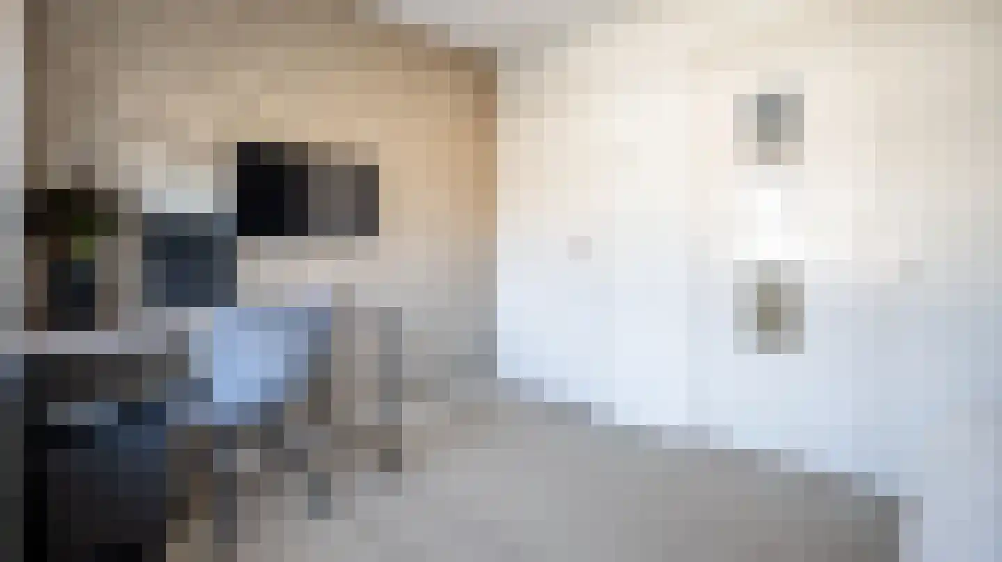 Jan Janslaan 5 Almelo thumbnail 16