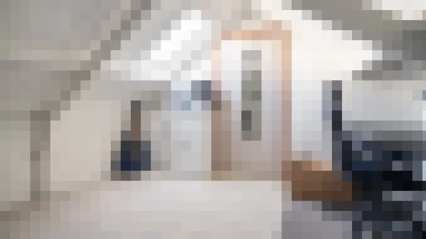 Jan Janslaan 5 Almelo thumbnail 18