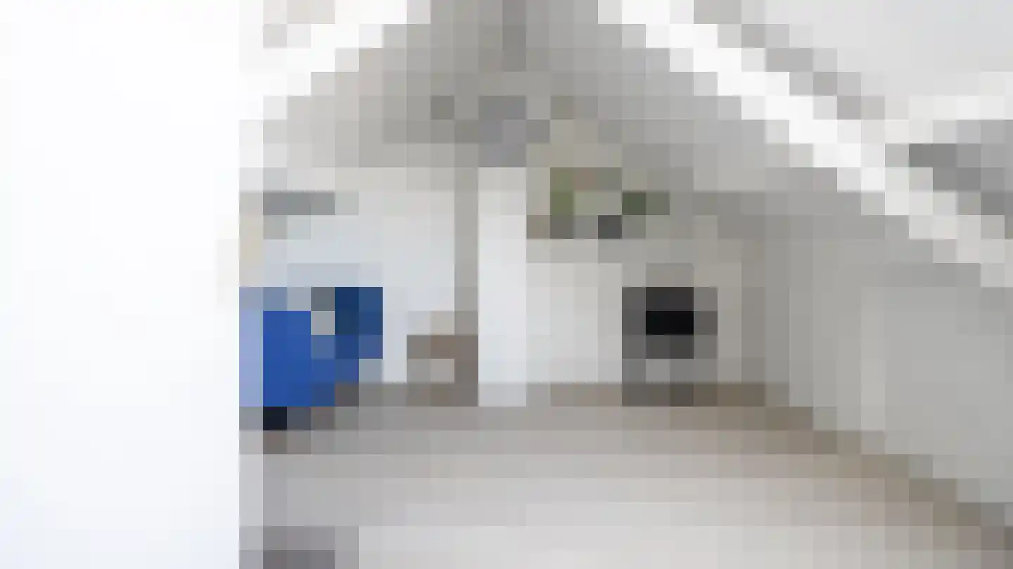 Jan Janslaan 5 Almelo thumbnail 19