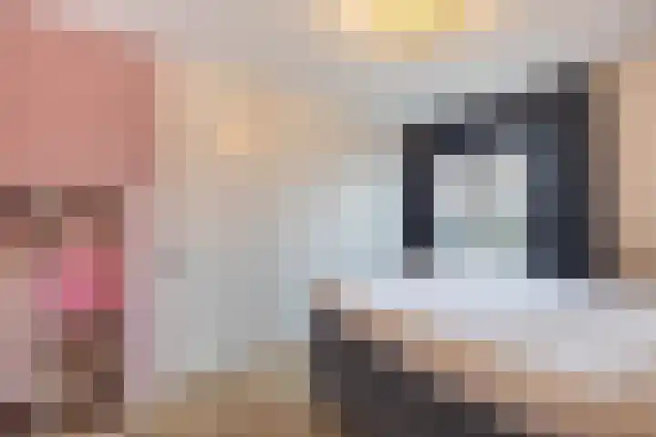 Jan Janslaan 54 Almelo thumbnail 16