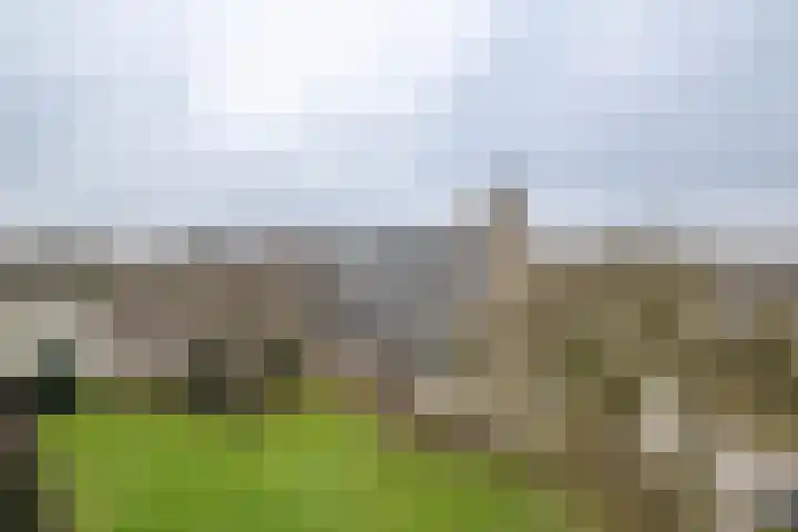 Jan Janslaan 54 Almelo thumbnail 18