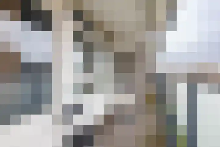 Jan Janslaan 54 Almelo thumbnail 4