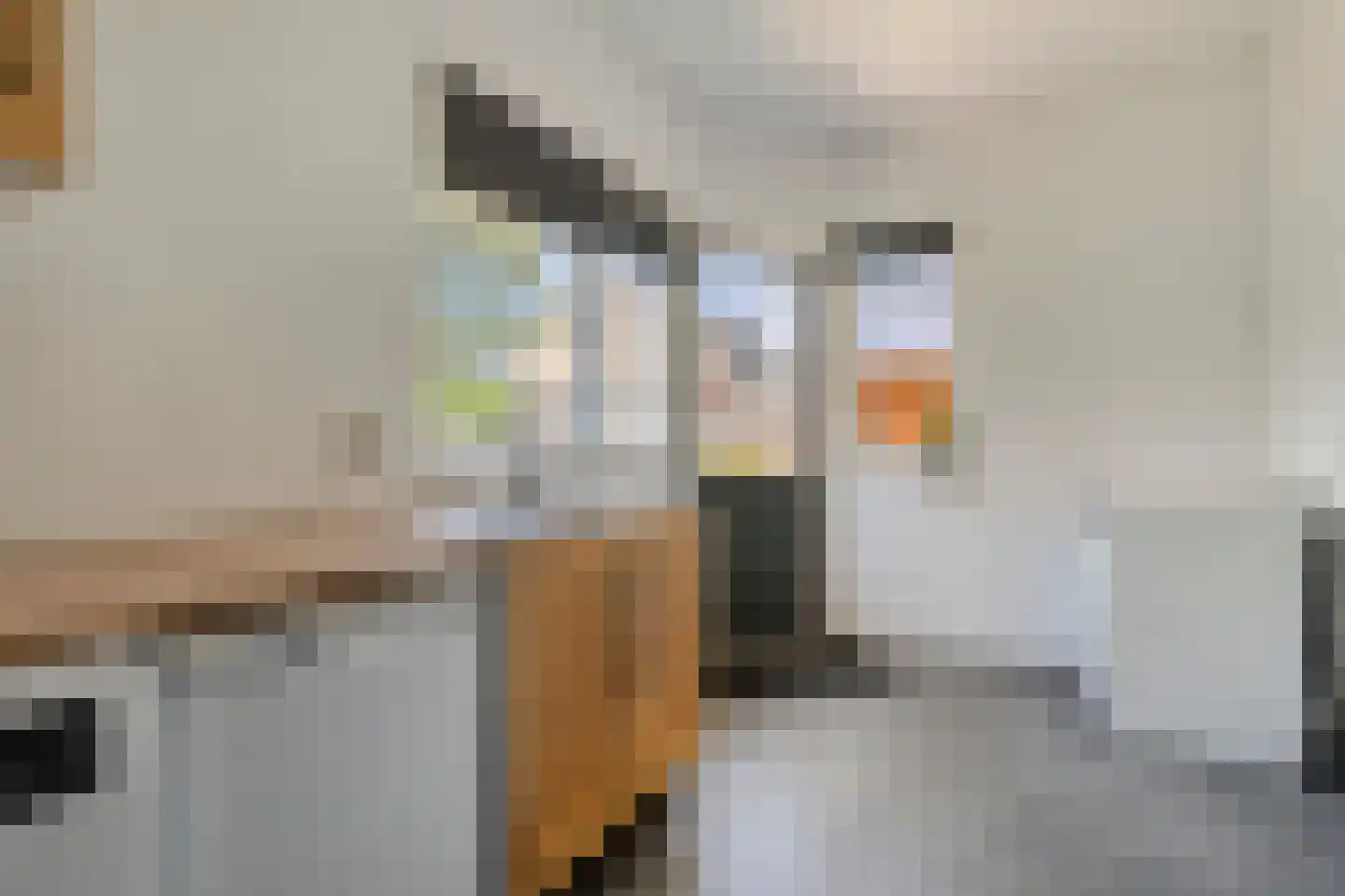 Jan Janslaan 55 Almelo thumbnail 14