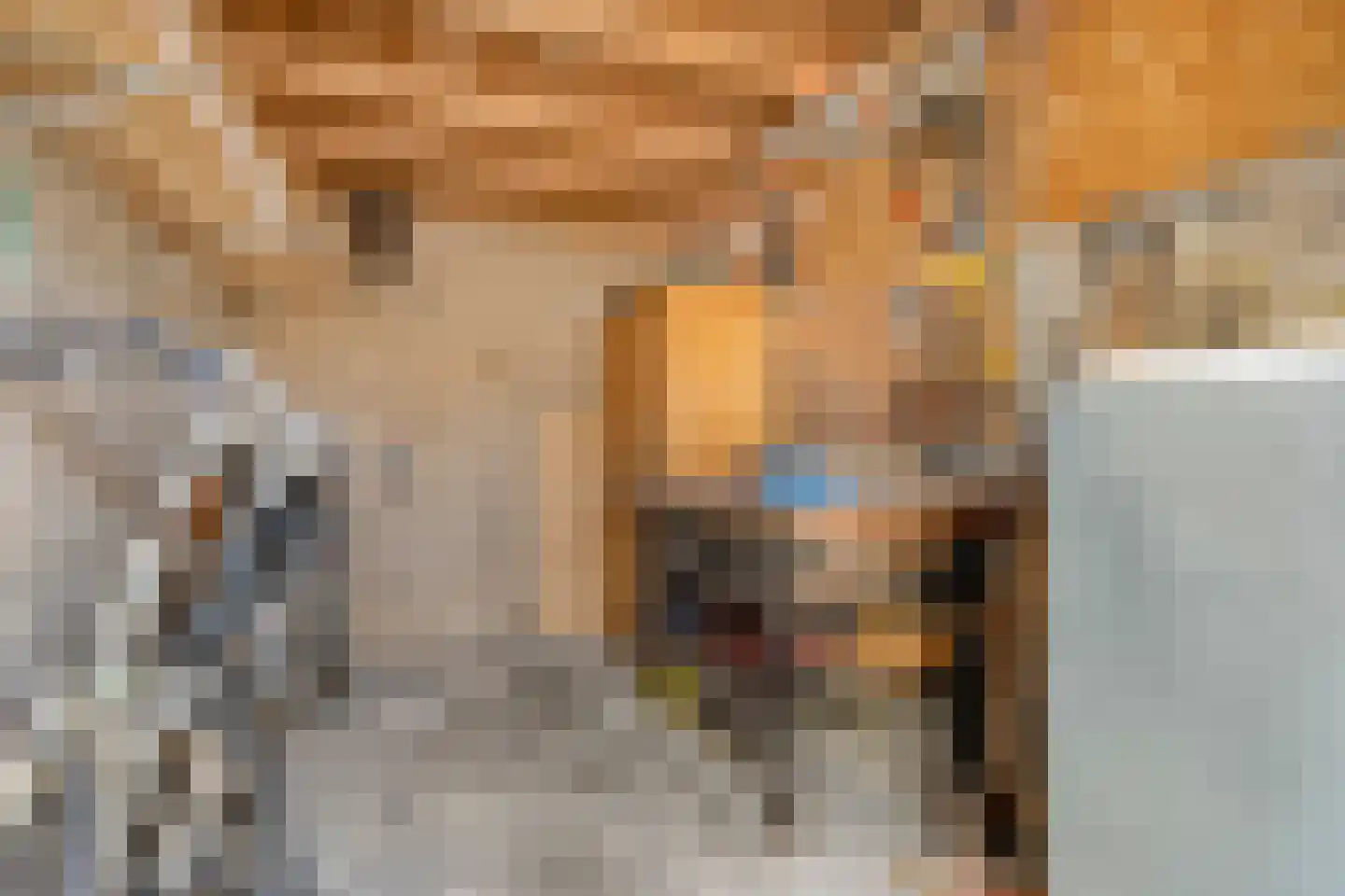 Jan Janslaan 55 Almelo thumbnail 32