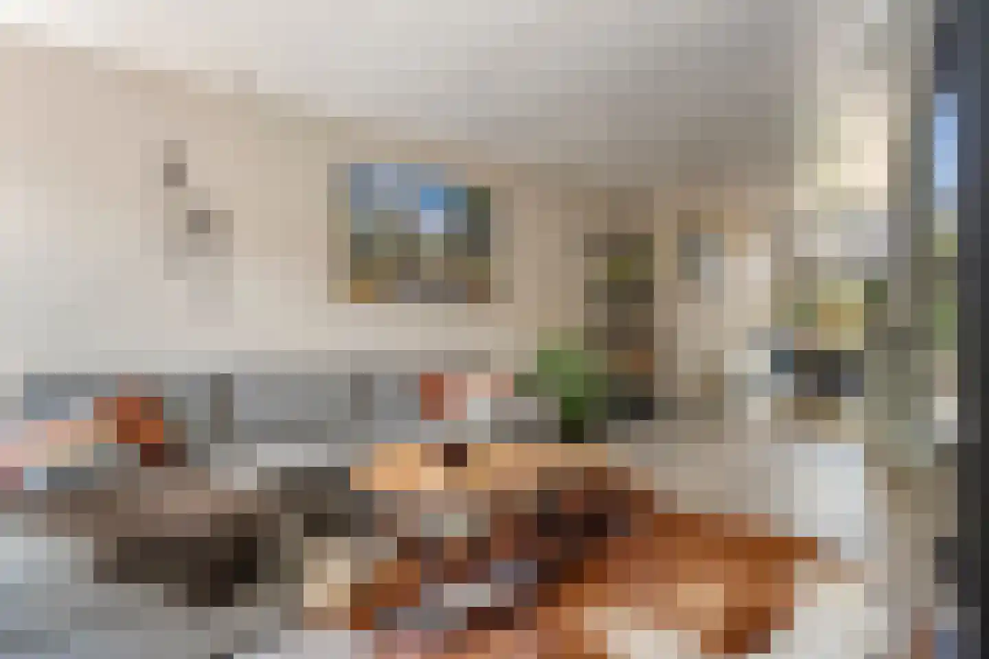 Jan Janslaan 55 Almelo thumbnail 8