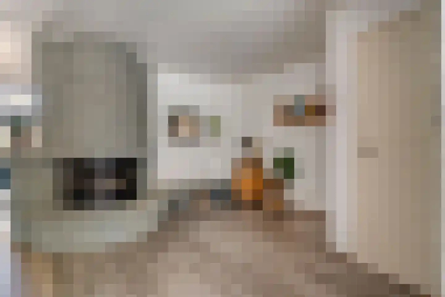 Jan Janslaan 55 Almelo thumbnail 9