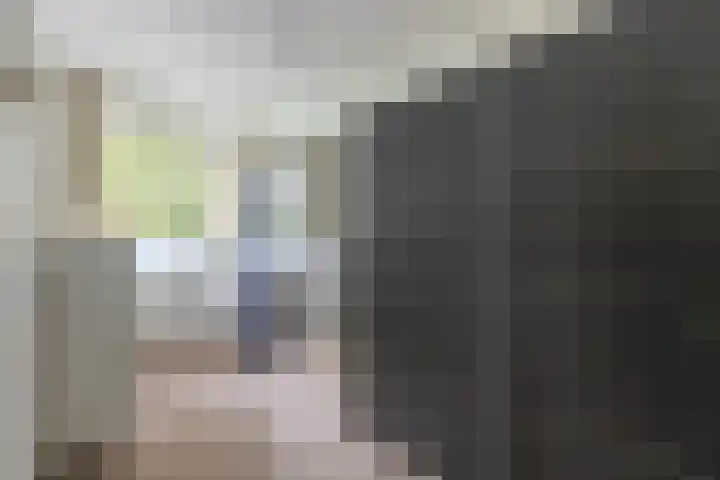 Jan Janslaan 6 Almelo thumbnail 11