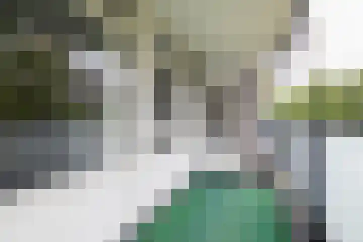 Jan Janslaan 6 Almelo thumbnail 16