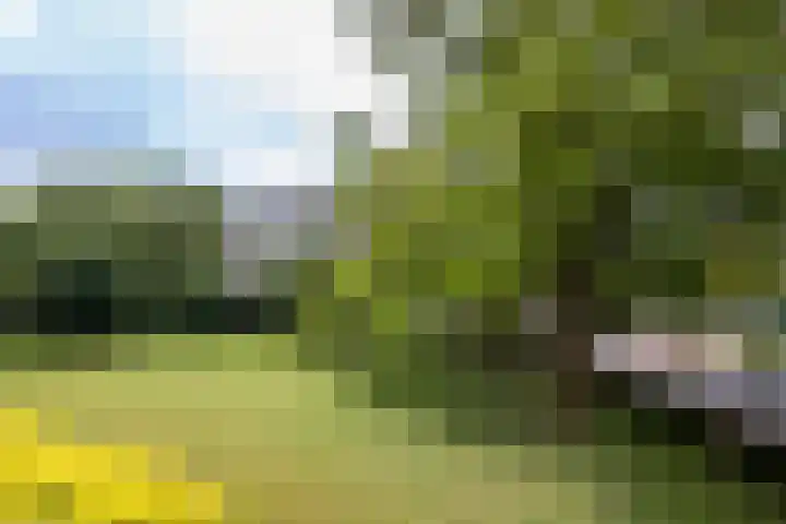 Jan Janslaan 6 Almelo thumbnail 17