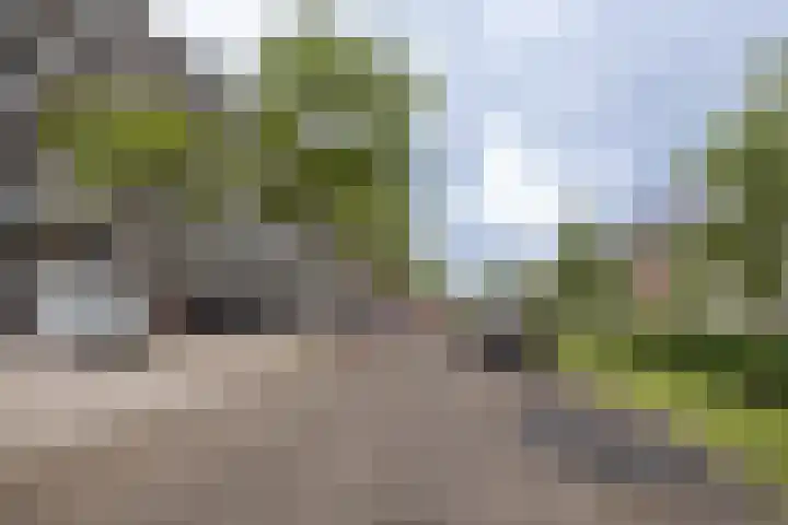 Jan Janslaan 6 Almelo thumbnail 21