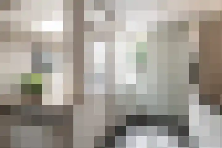 Jan Jansstraat 11 Losser thumbnail 12