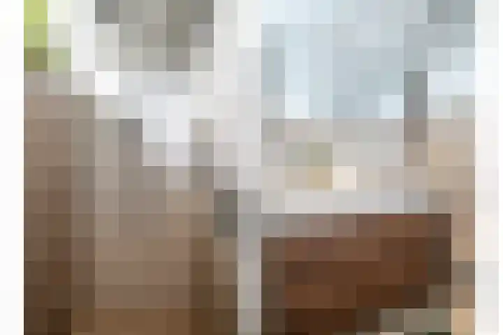 Jan Jansstraat 11 Losser thumbnail 18