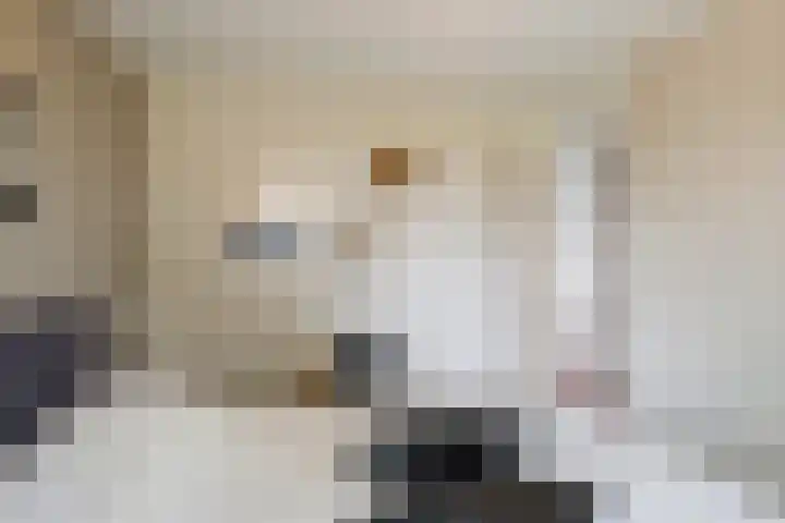 Jan Jansstraat 11 Losser thumbnail 20