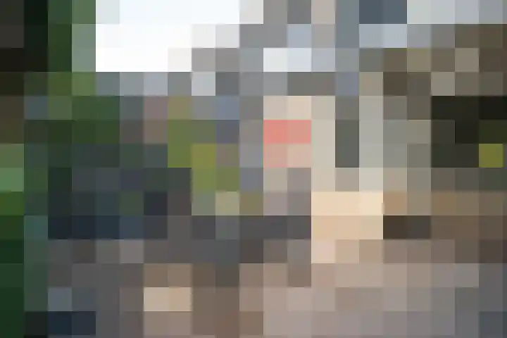 Jan Jansstraat 11 Losser thumbnail 30