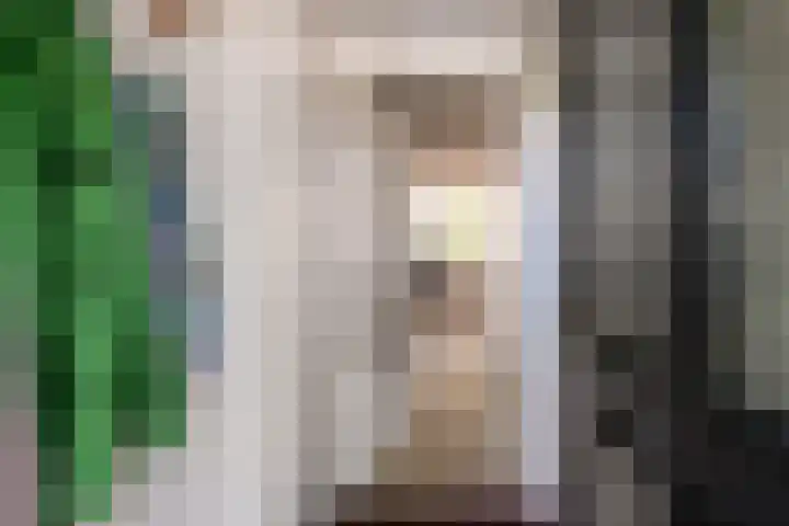 Jan Jansstraat 11 Losser thumbnail 5