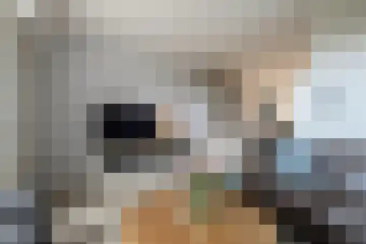 Jan Jansstraat 11 Losser thumbnail 9