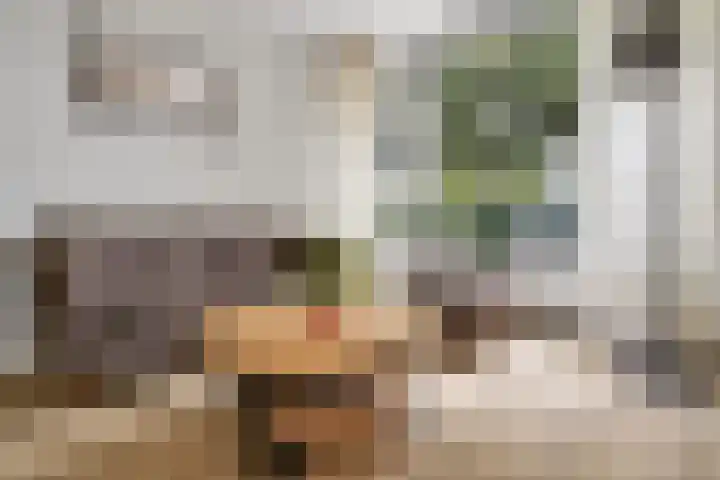 Jan Jansstraat 19 Losser thumbnail 12