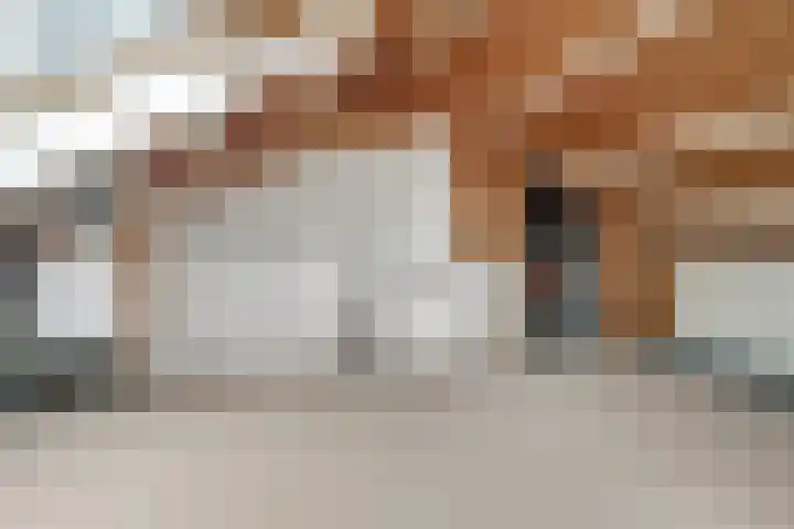 Jan Jansstraat 19 Losser thumbnail 32