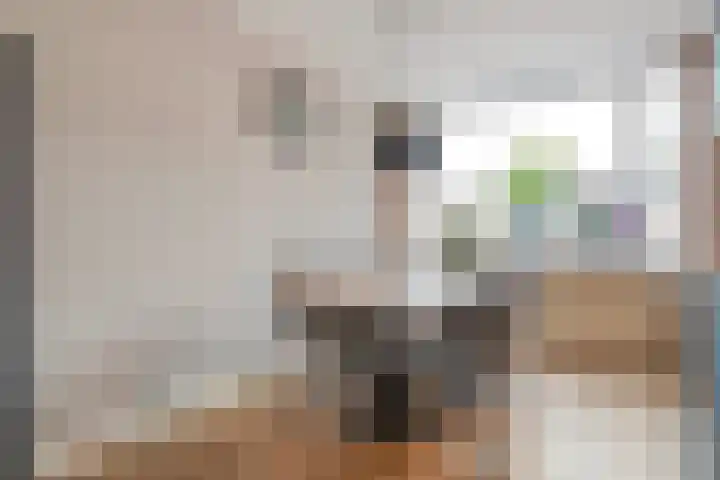 Jan Jansstraat 21 Losser thumbnail 10