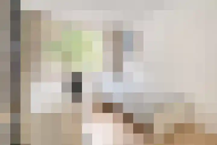 Jan Jansstraat 21 Losser thumbnail 13