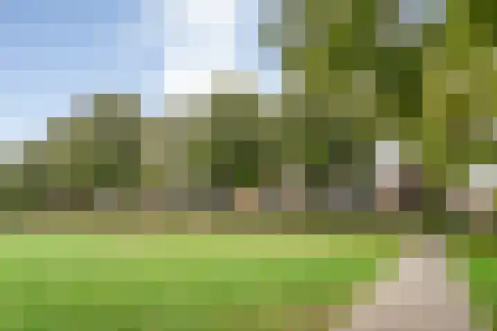 Jan Jansstraat 21 Losser thumbnail 22