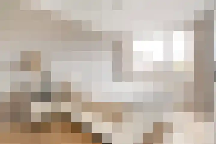 Jan Jansstraat 21 Losser thumbnail 4